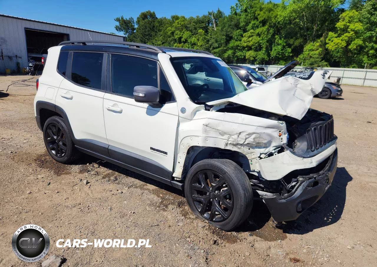 2017 Jeep Renegade Trailhawk VIN:ZACCJBCB6HPE76469 - 4