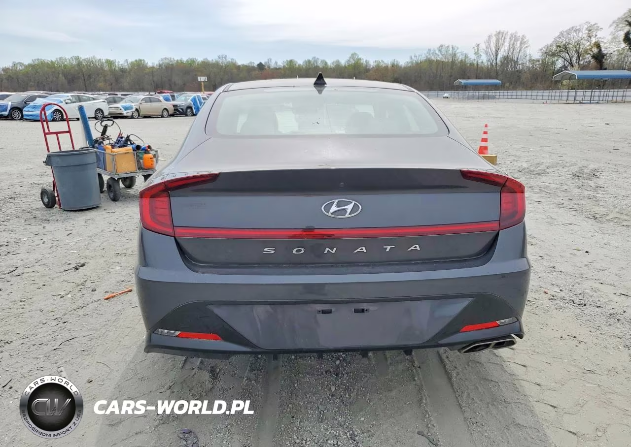 2020 Hyundai Sonata Sel VIN:5NPEL4JA9LH055517 - 6