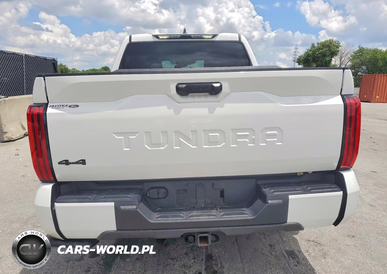 2022 Toyota Tundra Sr5 VIN:5TFLA5DB5NX047123 - 6