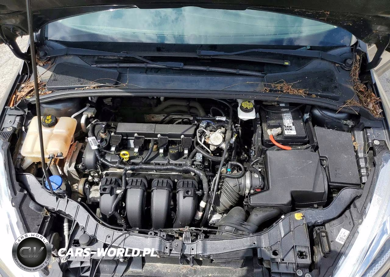 2018 Ford Focus S VIN:1FADP3E22JL266649 - 11