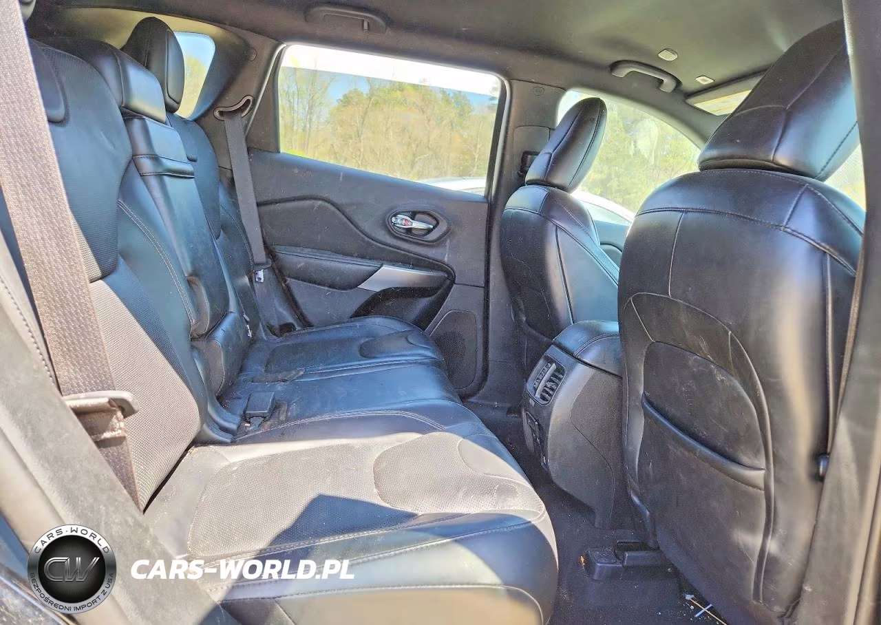 2019 Jeep Cherokee Limited VIN:1C4PJLDN2KD341026 - 11