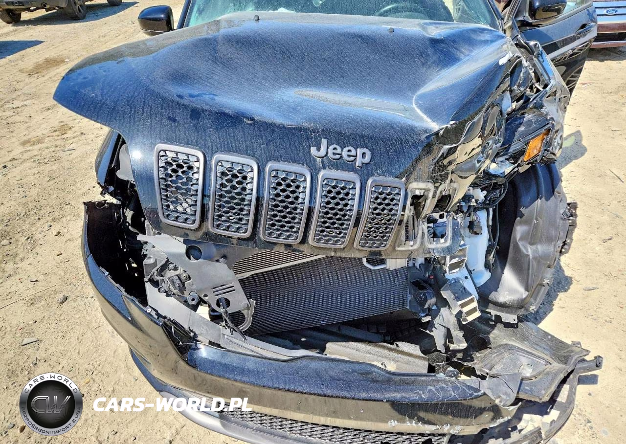 2019 Jeep Cherokee Limited VIN:1C4PJLDN2KD341026 - 12