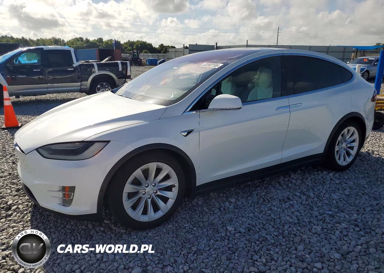 2019 Tesla Model X