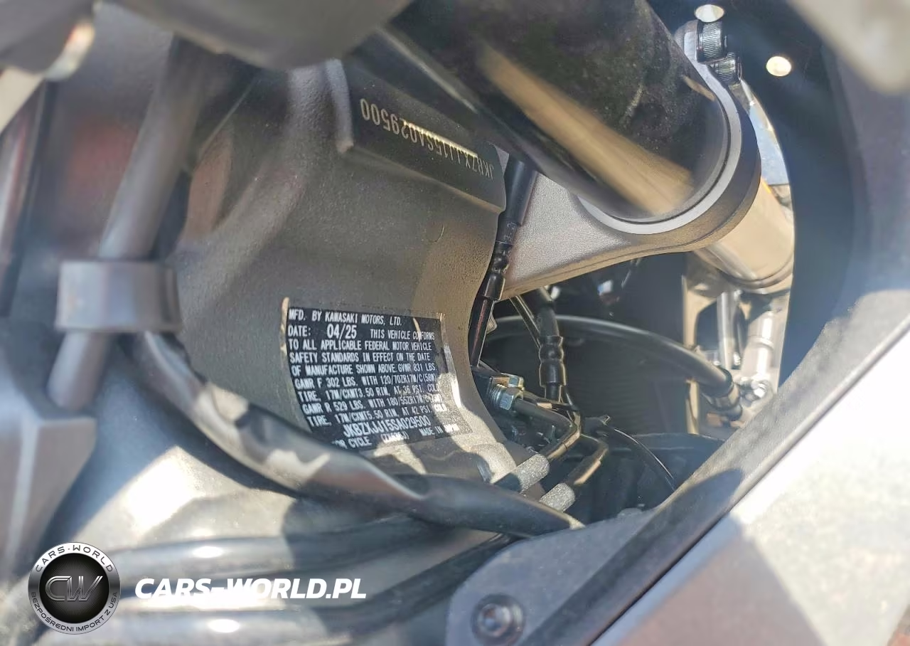2025 Kawasaki Zx636 K VIN:JKBZXJJ15SA029500 - 9