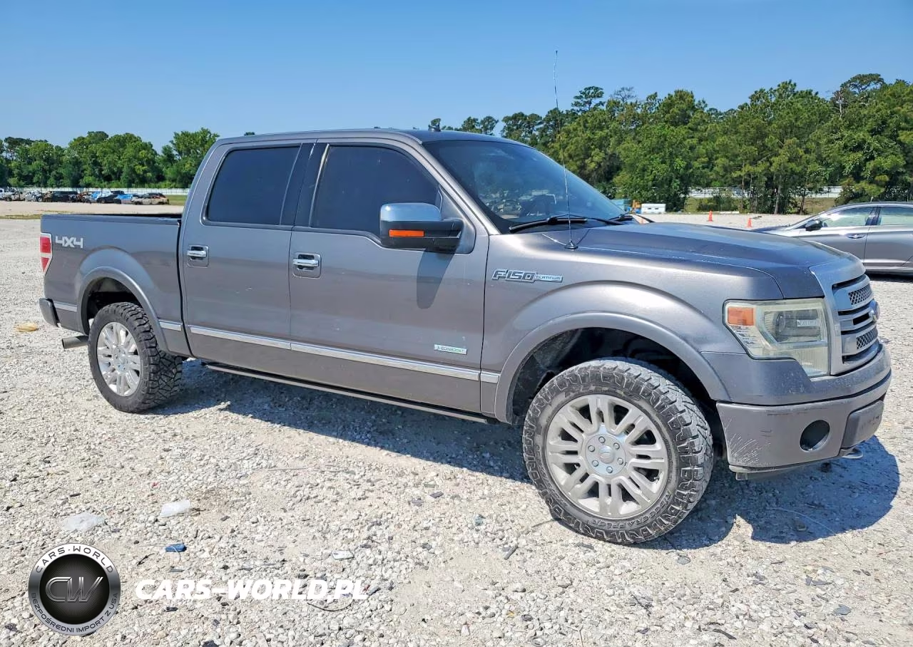 2013 Ford F150 Supercrew VIN:1FTFW1ETXDFC19164 - 4