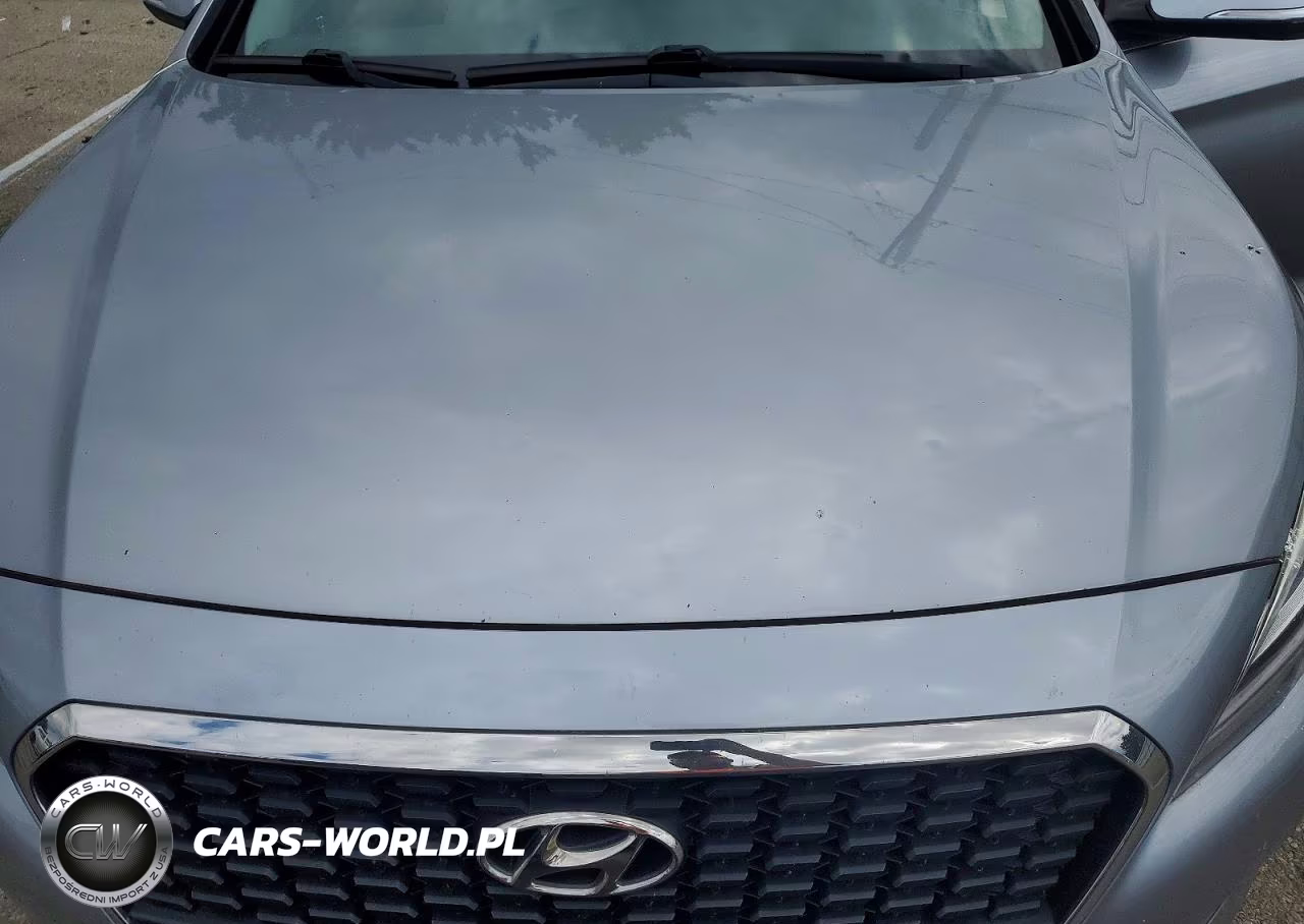 2016 Hyundai Sonata VIN:KMHE24L16GA024752 - 11