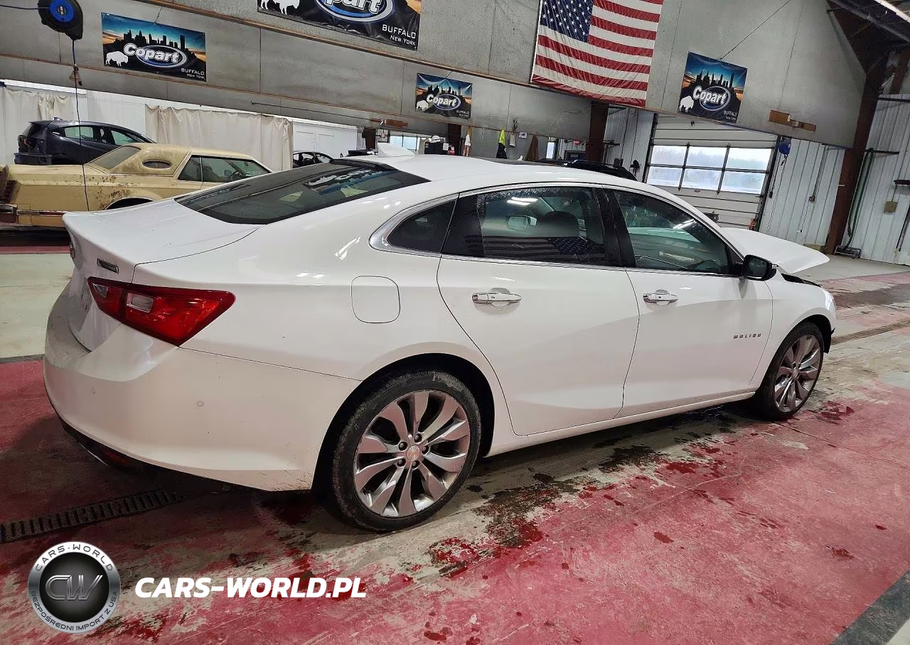 2018 Chevrolet Malibu Premier VIN:1G1ZE5SX4JF205375 - 3