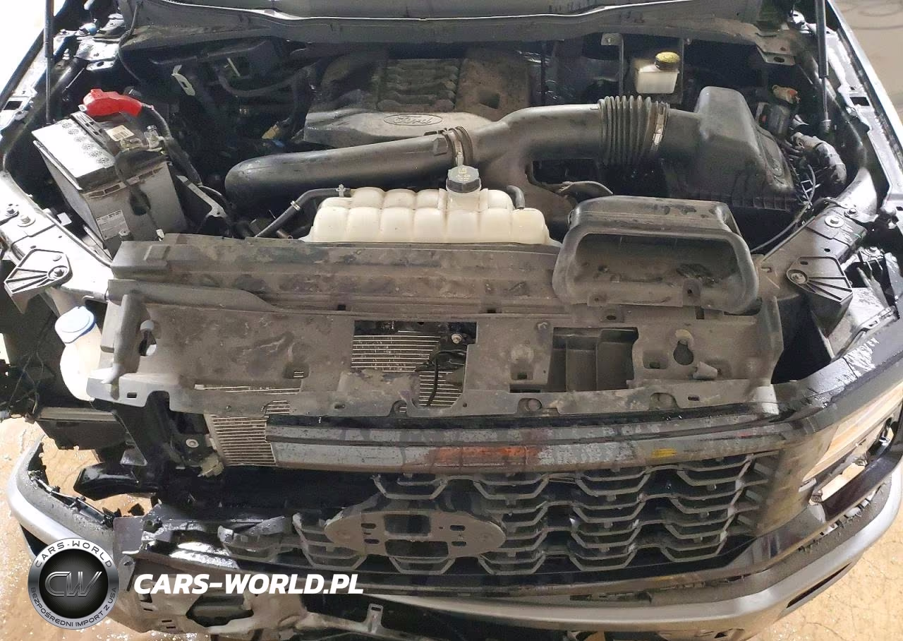 2025 Ford F150 VIN:1FTEW2LPXSKE19246 - 11