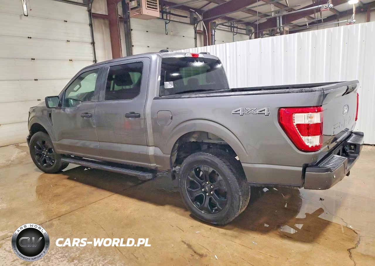 2025 Ford F150 VIN:1FTEW2LPXSKE19246 - 2