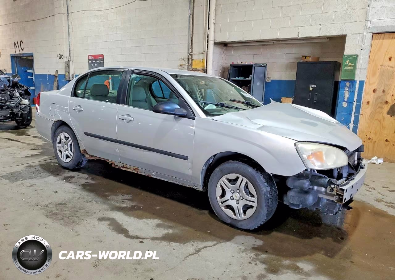 2004 Chevrolet Malibu VIN:1G1ZS52F94F143069 - 4