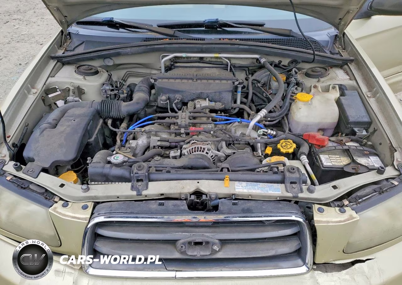 2003 Subaru Forester 2.5Xs VIN:JF1SG65603H761353 - 12