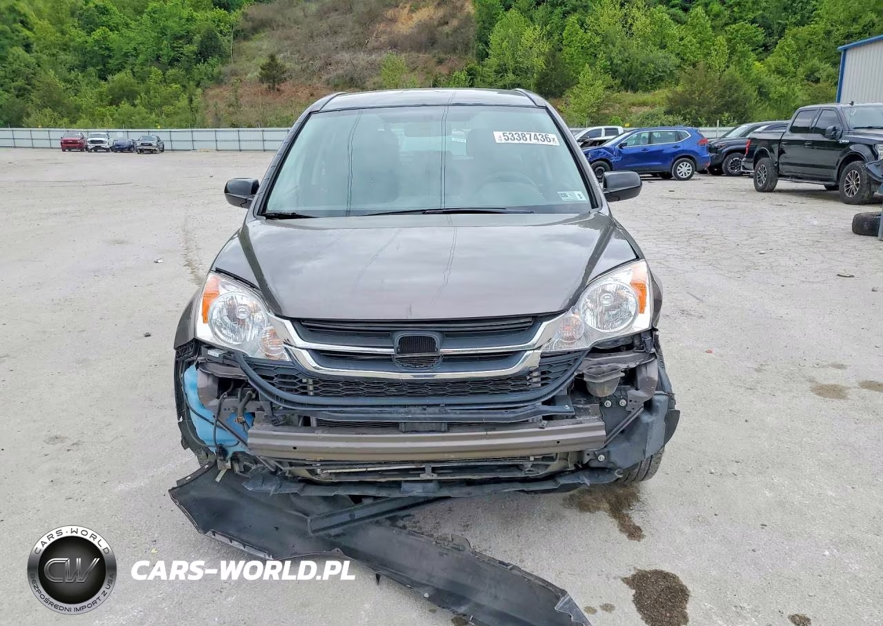 2011 Honda Cr-V Lx VIN:5J6RE4H31BL087532 - 5
