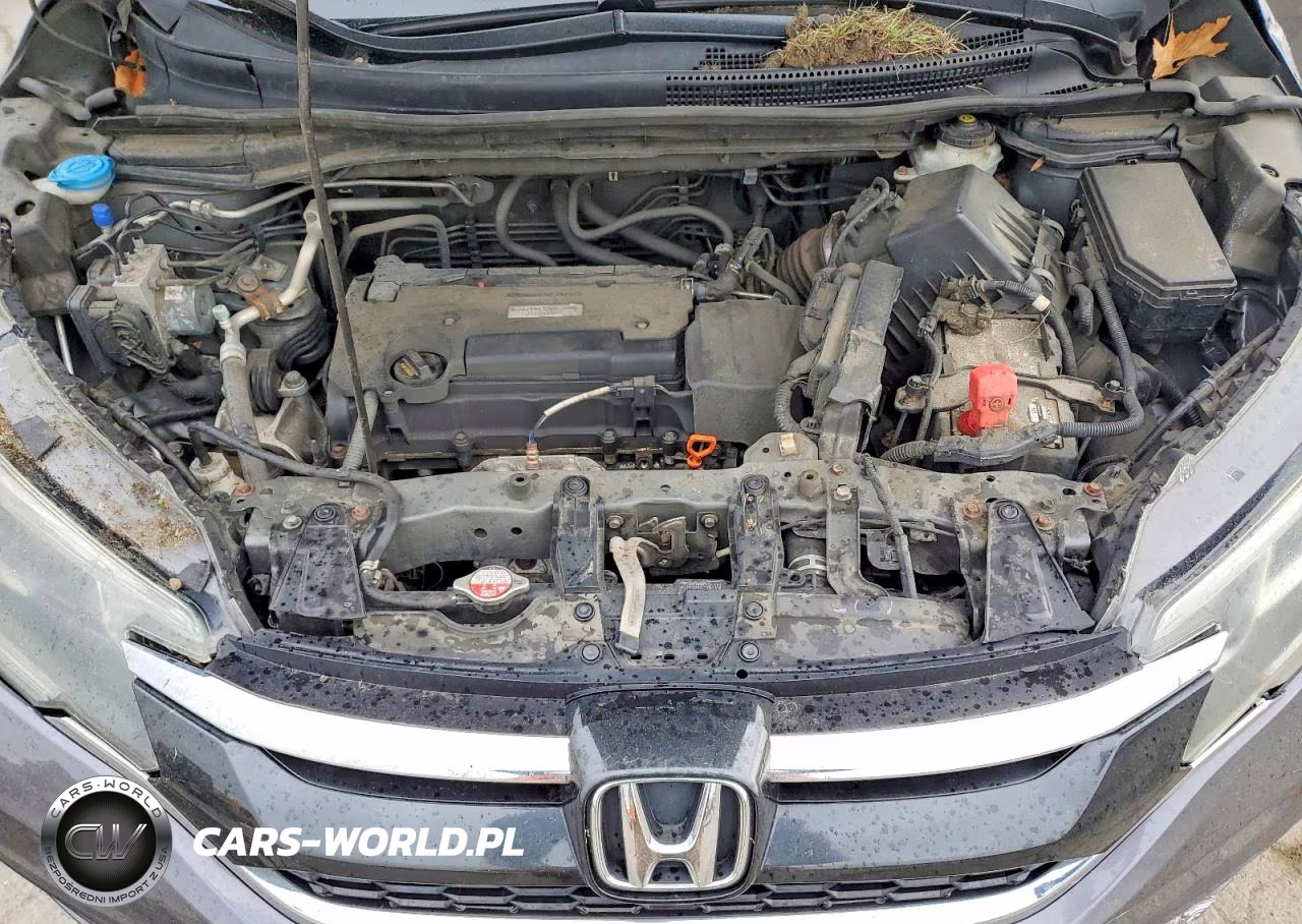 2016 Honda Cr-V Lx VIN:2HKRM4H31GH622976 - 12