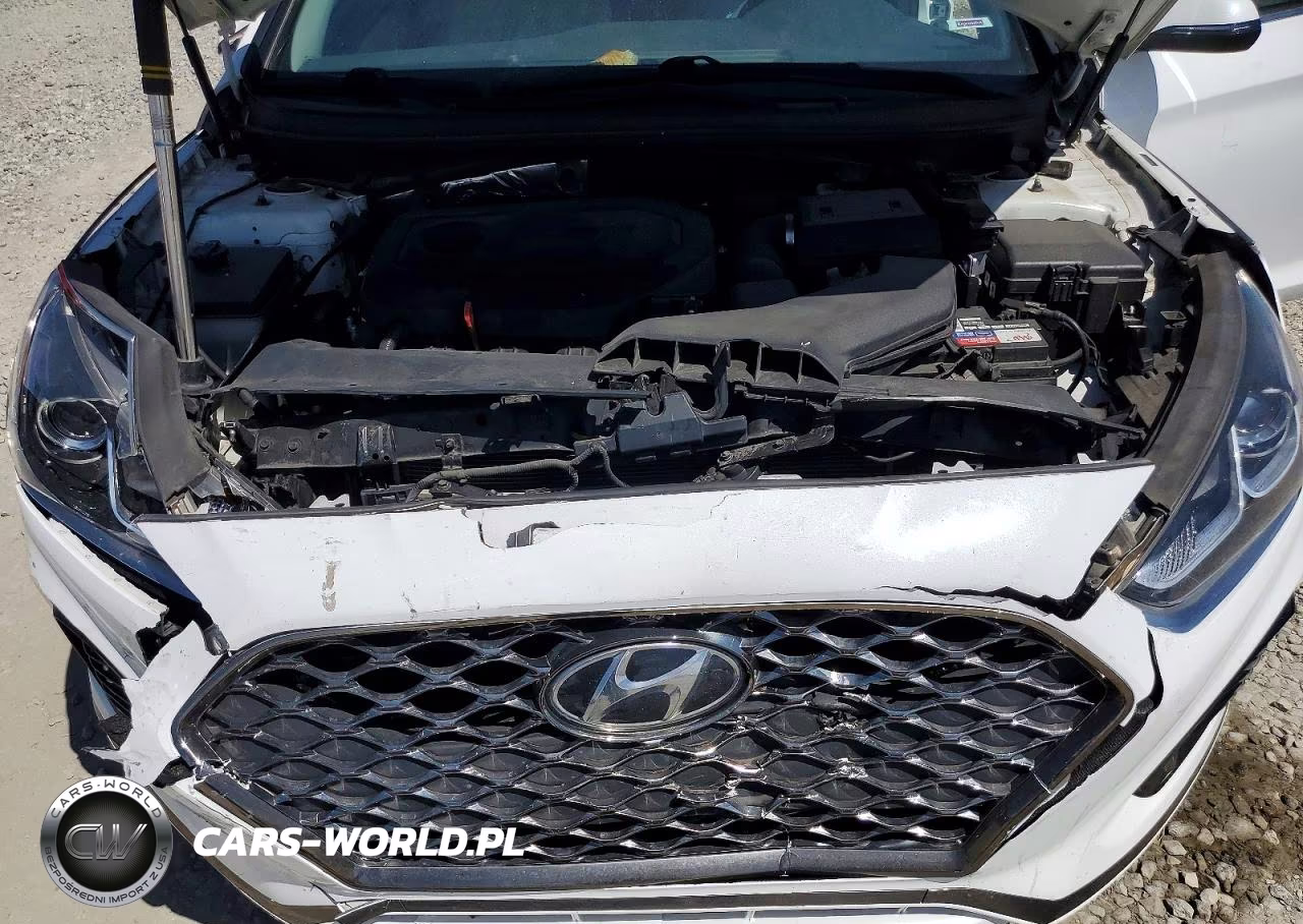 2019 Hyundai Sonata Sel VIN:5NPE34AF7KH816586 - 11