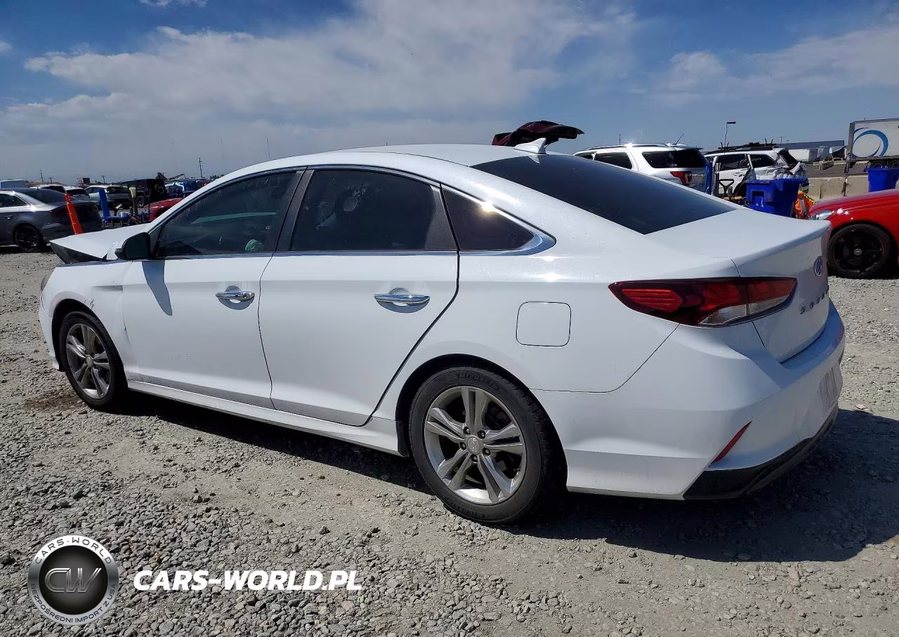2019 Hyundai Sonata Sel VIN:5NPE34AF7KH816586 - 2