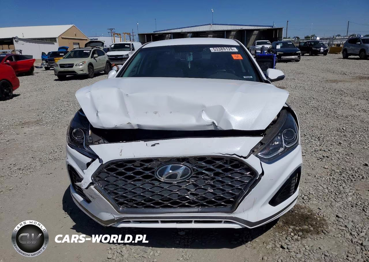 2019 Hyundai Sonata Sel VIN:5NPE34AF7KH816586 - 5