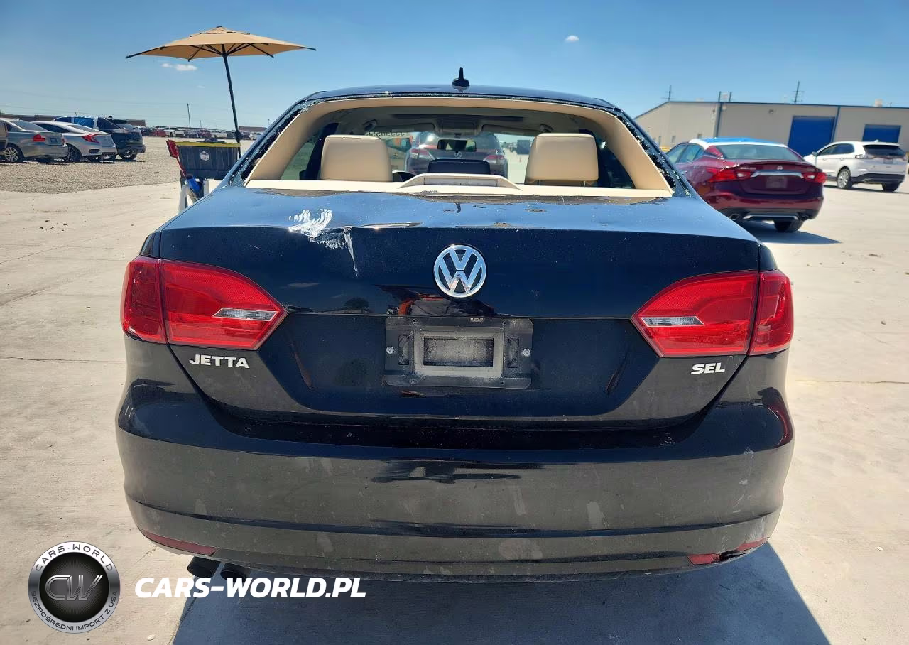 2014 Volkswagen Jetta Sel VIN:3VWL07AJ0EM324533 - 6