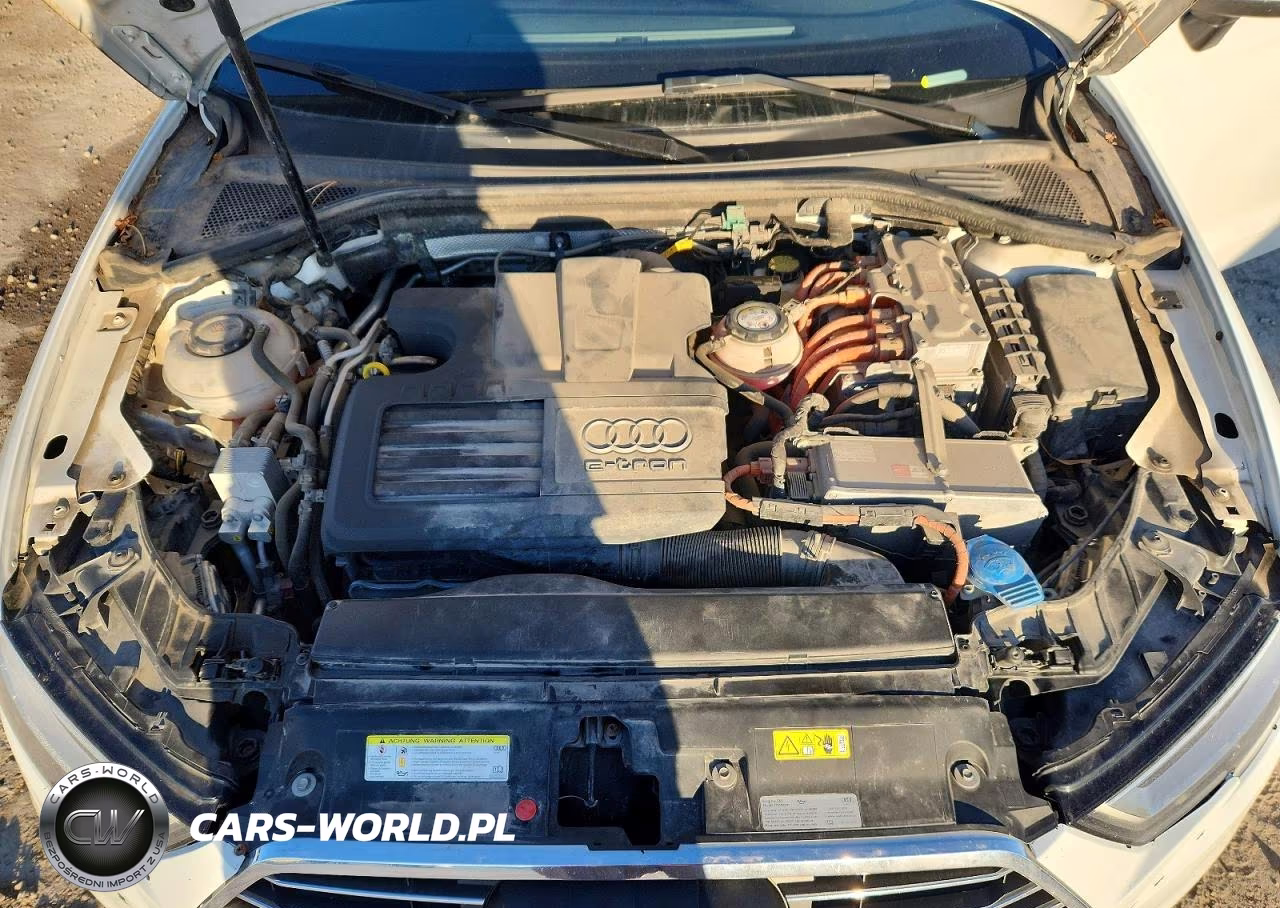2018 Audi A3 E-Tron Premium Plus VIN:WAUTPBFF8JA062268 - 11