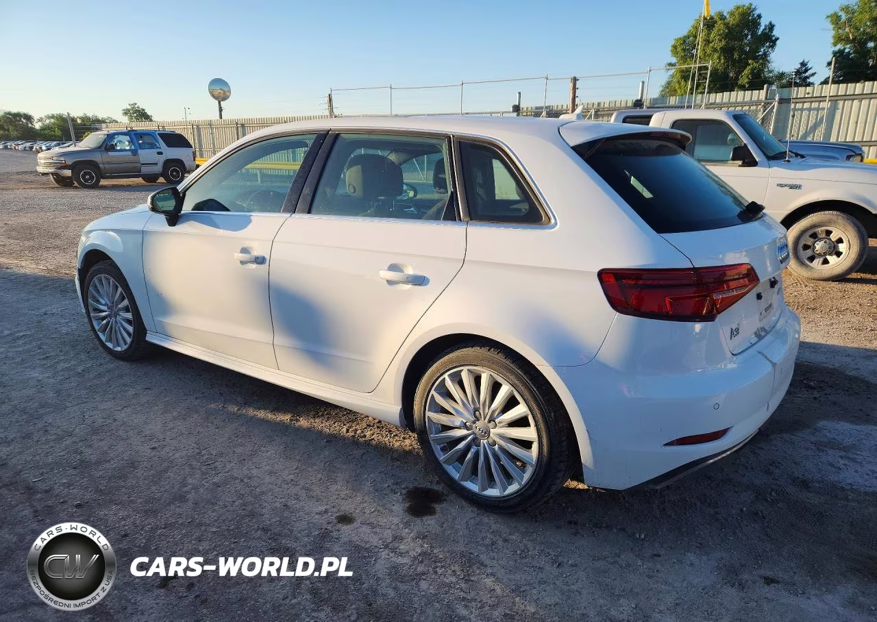 2018 Audi A3 E-Tron Premium Plus VIN:WAUTPBFF8JA062268 - 2
