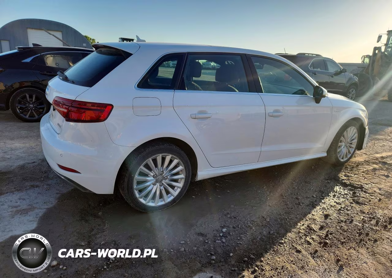 2018 Audi A3 E-Tron Premium Plus VIN:WAUTPBFF8JA062268 - 3