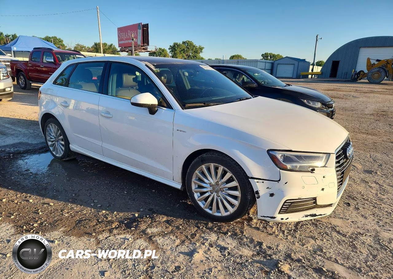 2018 Audi A3 E-Tron Premium Plus VIN:WAUTPBFF8JA062268 - 4
