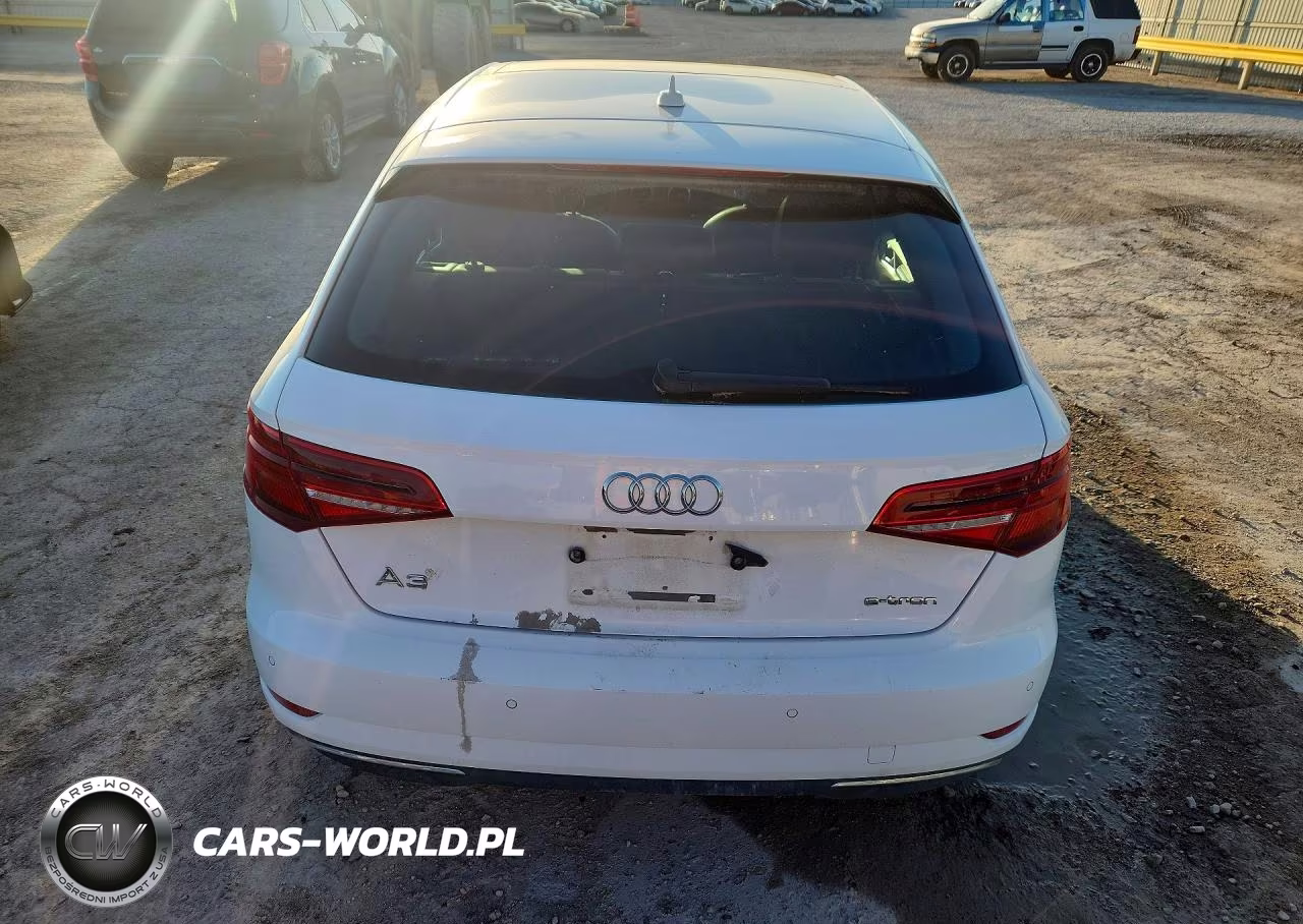 2018 Audi A3 E-Tron Premium Plus VIN:WAUTPBFF8JA062268 - 6