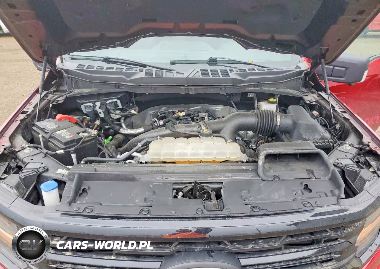 2024 Ford F150 Xlt VIN:1FTEW3LP0RKD16823 - 11