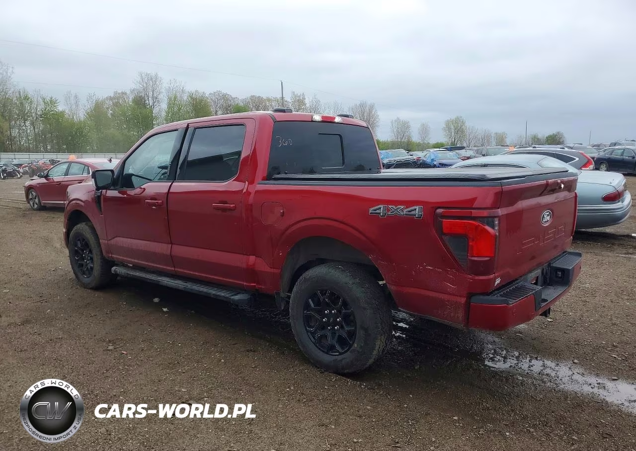2024 Ford F150 Xlt VIN:1FTEW3LP0RKD16823 - 2