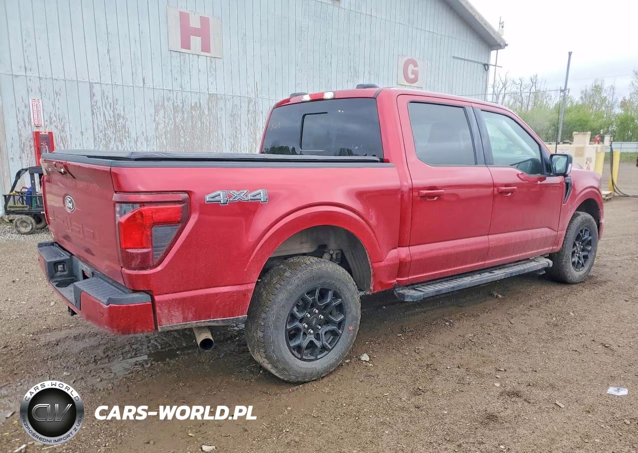 2024 Ford F150 Xlt VIN:1FTEW3LP0RKD16823 - 3