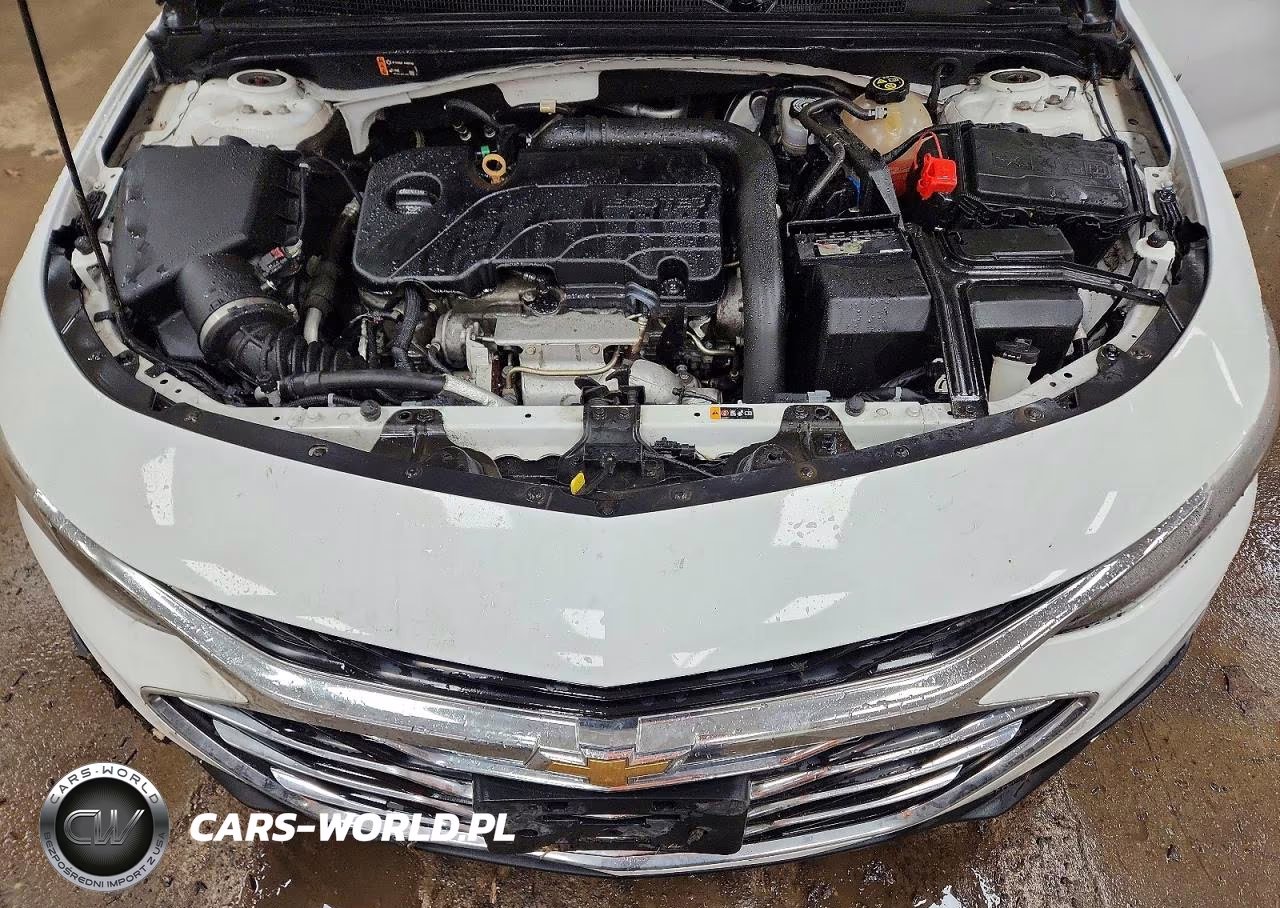 2019 Chevrolet Malibu Lt VIN:1G1ZD5ST6KF191061 - 11