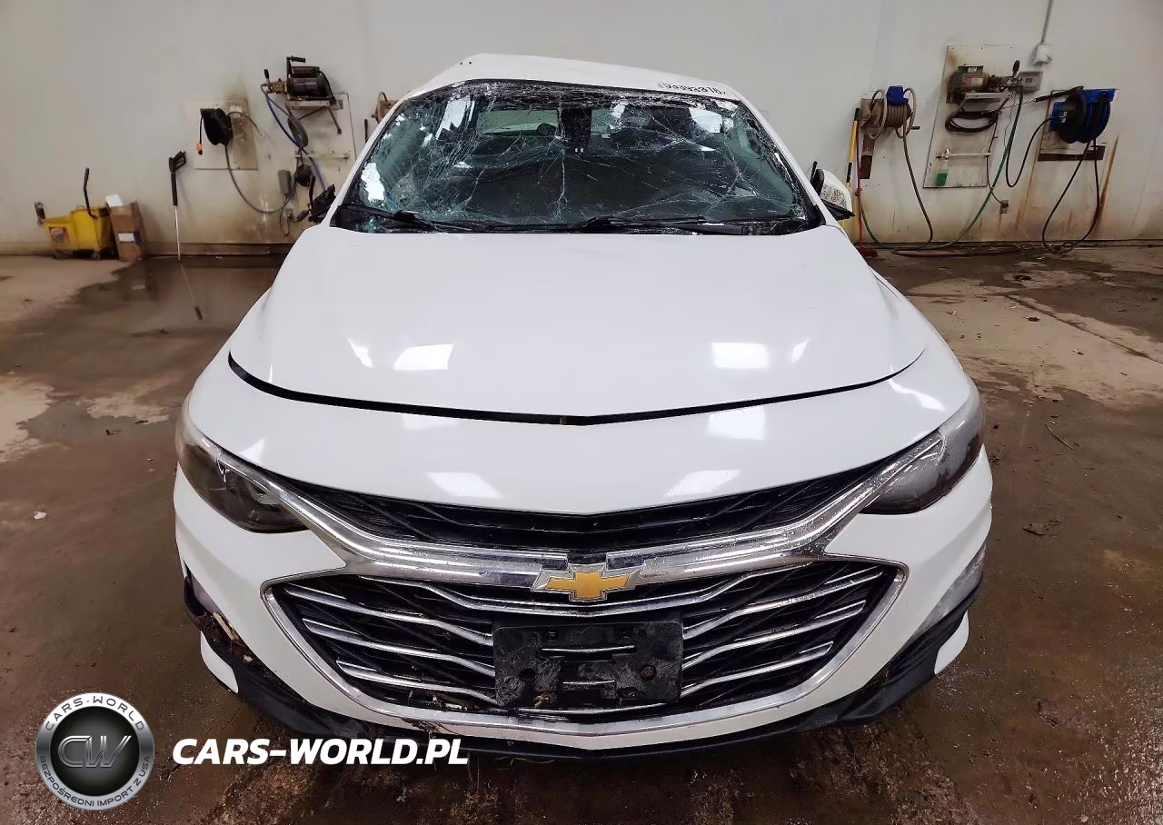 2019 Chevrolet Malibu Lt VIN:1G1ZD5ST6KF191061 - 5