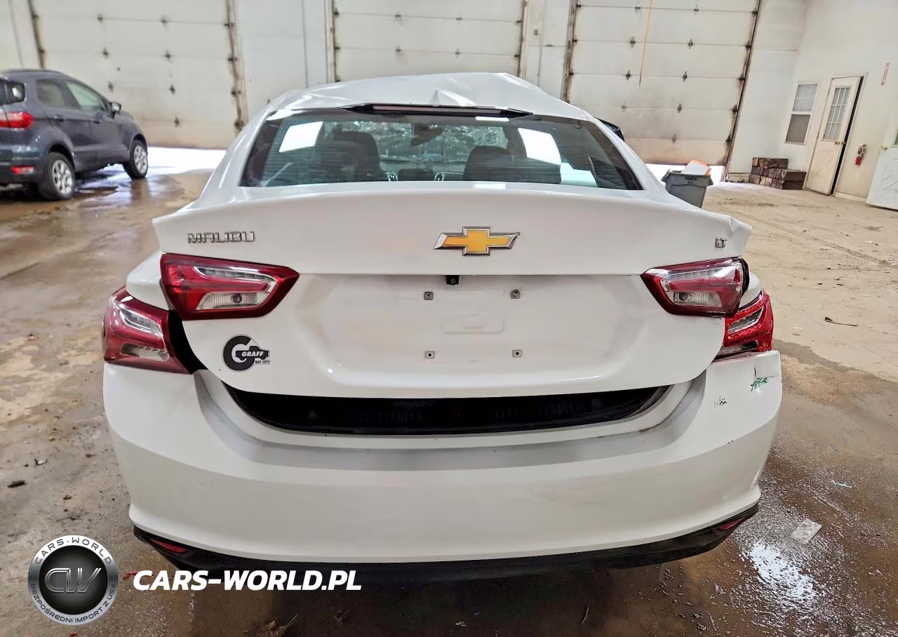 2019 Chevrolet Malibu Lt VIN:1G1ZD5ST6KF191061 - 6