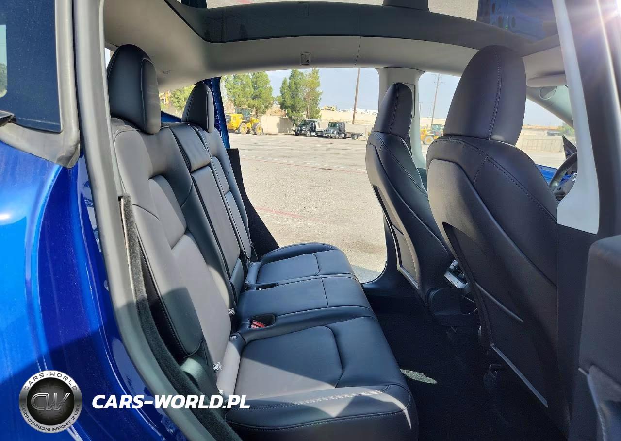 2025 Tesla Model Y VIN:7SAYGDEE9SF219007 - 10
