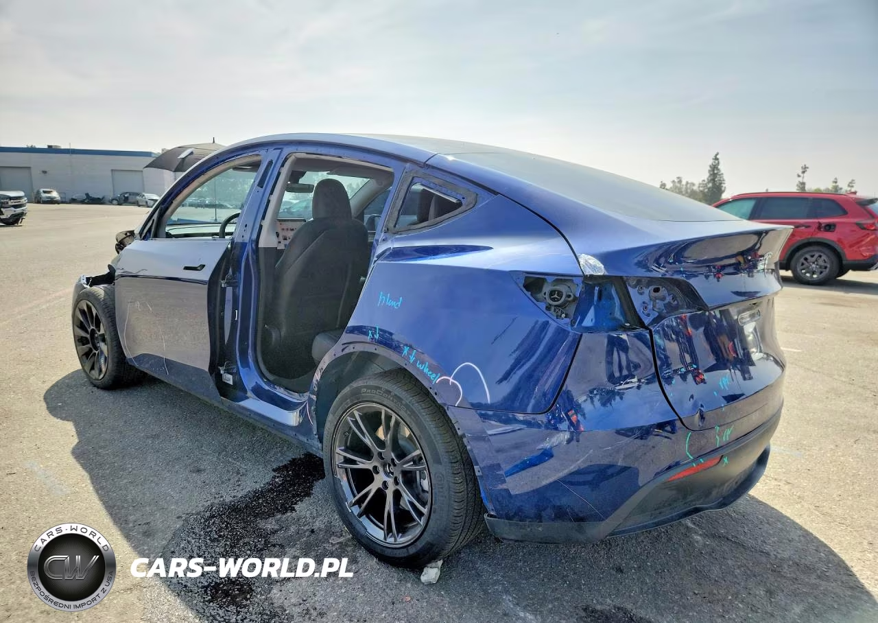 2025 Tesla Model Y VIN:7SAYGDEE9SF219007 - 2