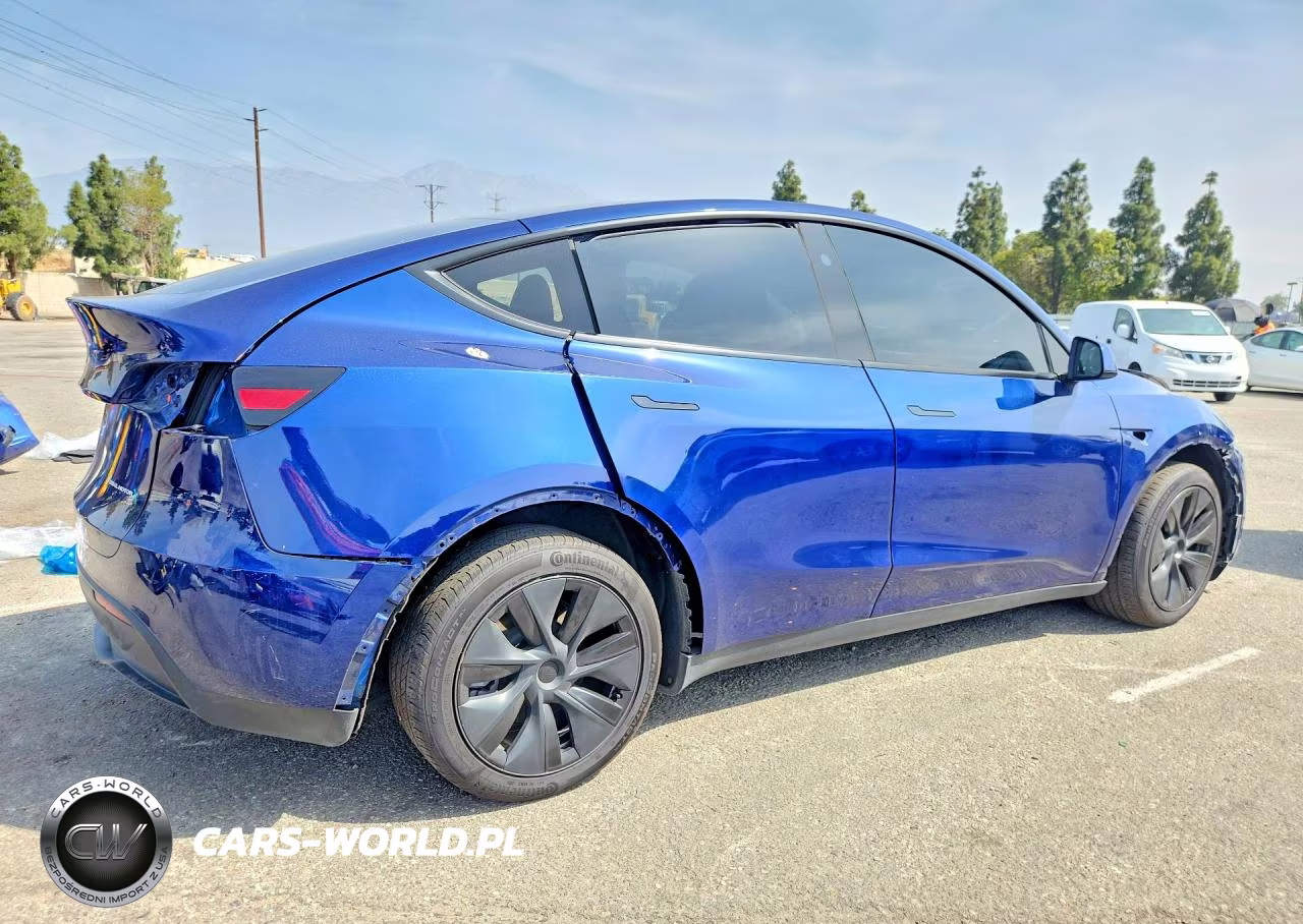 2025 Tesla Model Y VIN:7SAYGDEE9SF219007 - 3