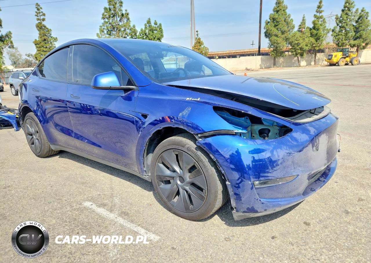 2025 Tesla Model Y VIN:7SAYGDEE9SF219007 - 4
