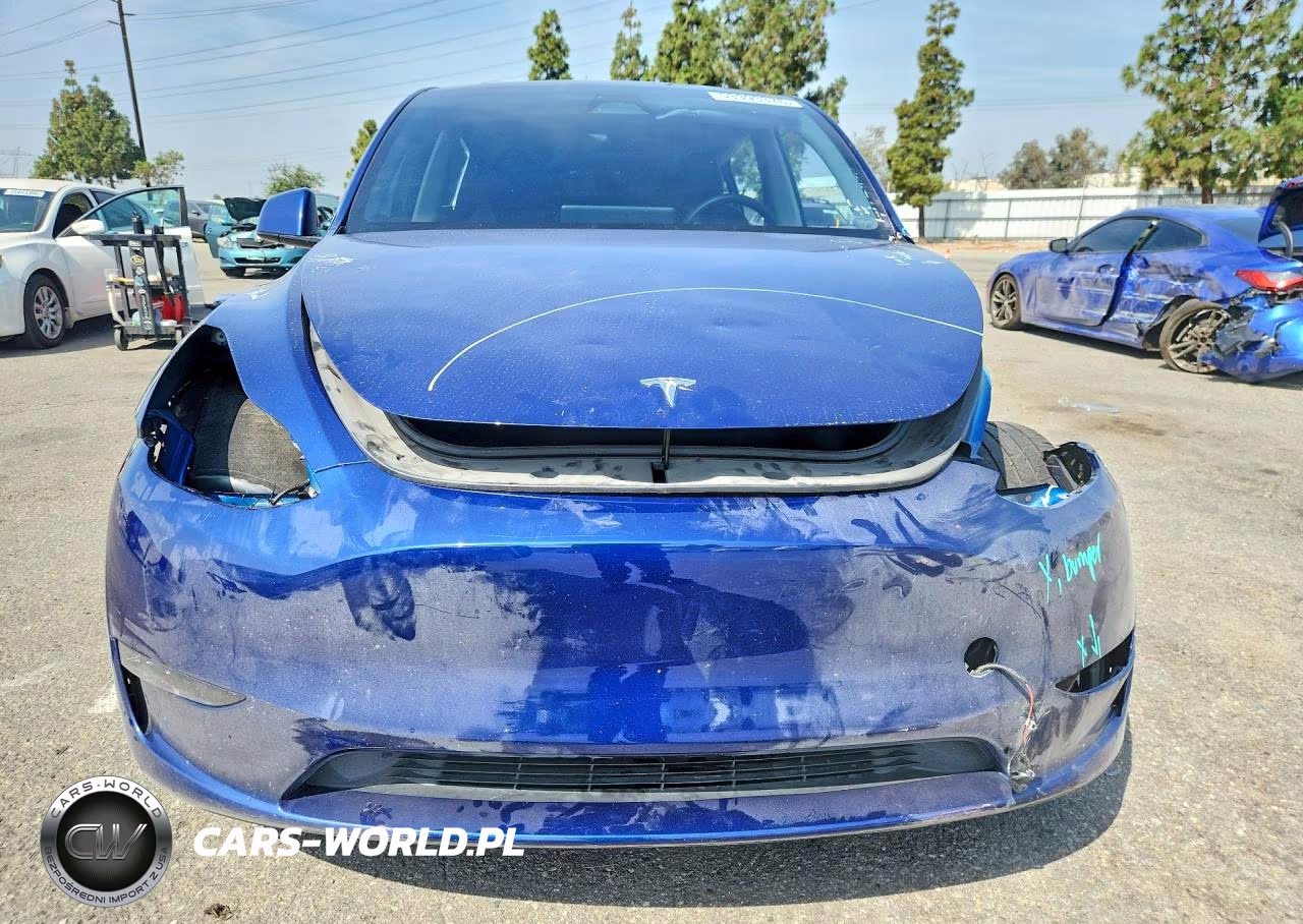 2025 Tesla Model Y VIN:7SAYGDEE9SF219007 - 5