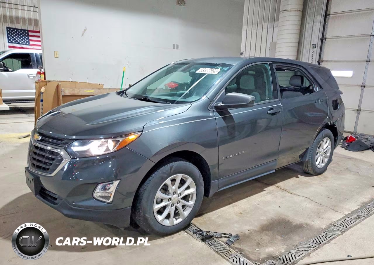 2019 Chevrolet Equinox Ls VIN:3GNAXHEV6KS651476 - 1