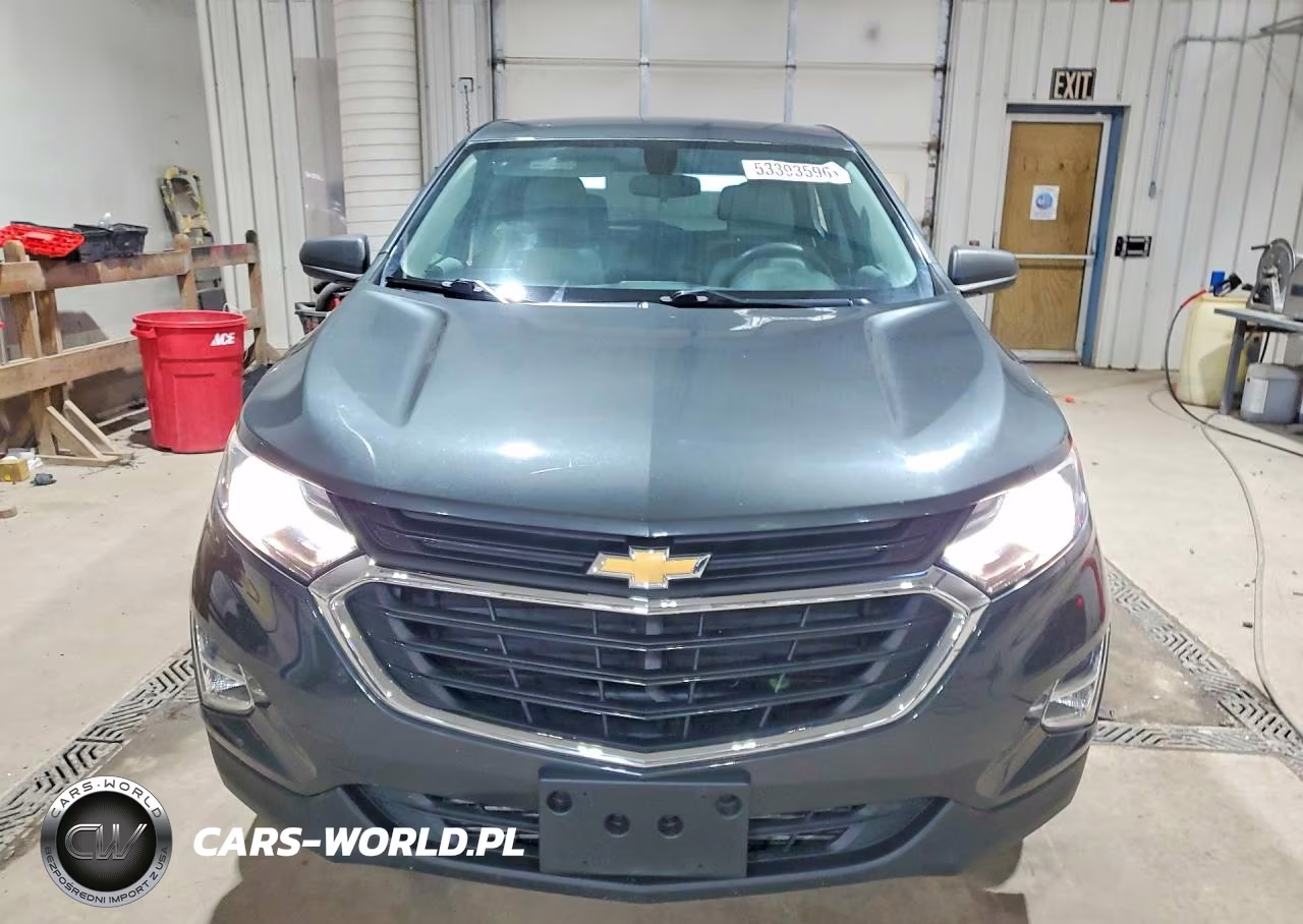 2019 Chevrolet Equinox Ls VIN:3GNAXHEV6KS651476 - 5