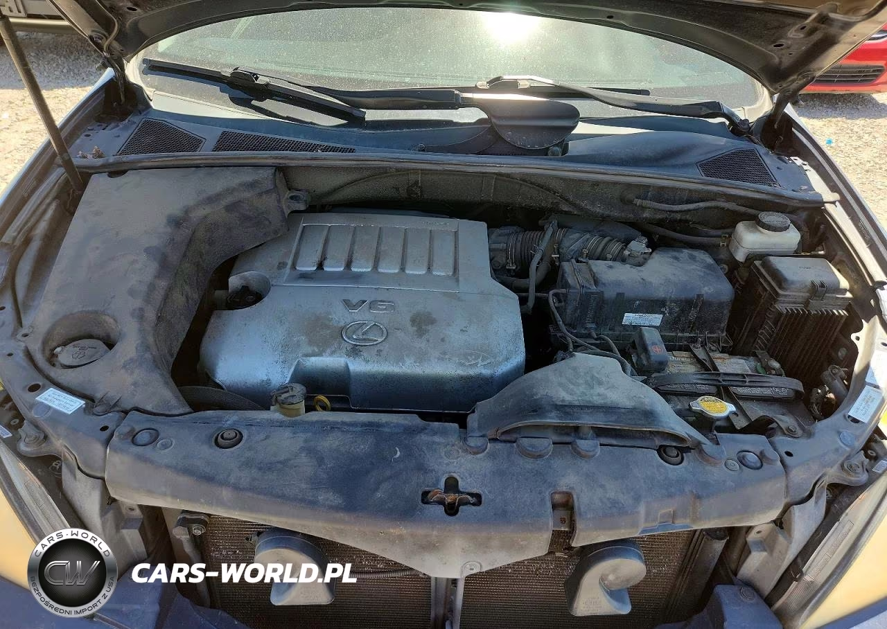 2007 Lexus Rx 350 VIN:2T2HK31U77C034030 - 12