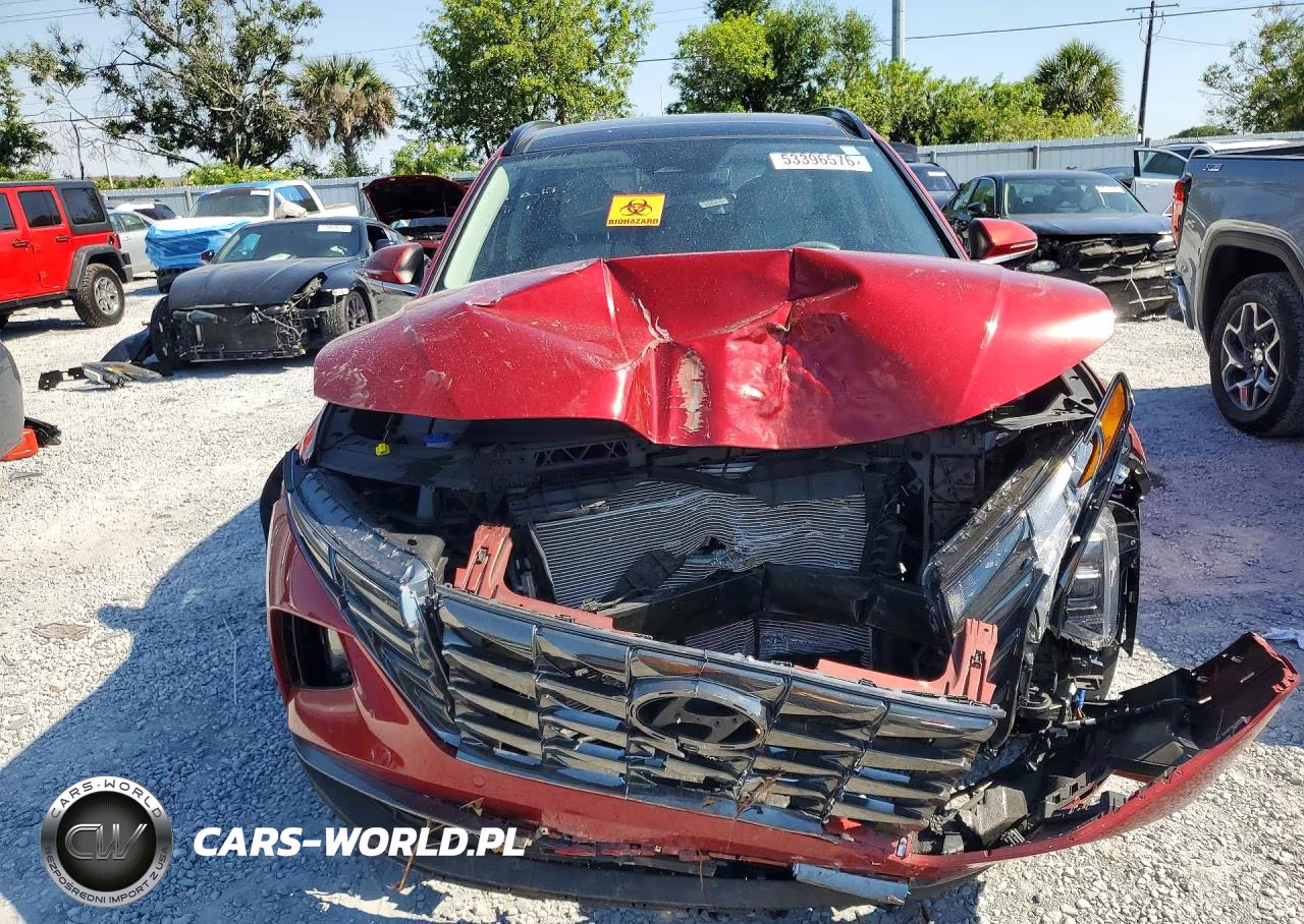 2024 Hyundai Tucson Limited VIN:5NMJE3DE3RH414075 - 5