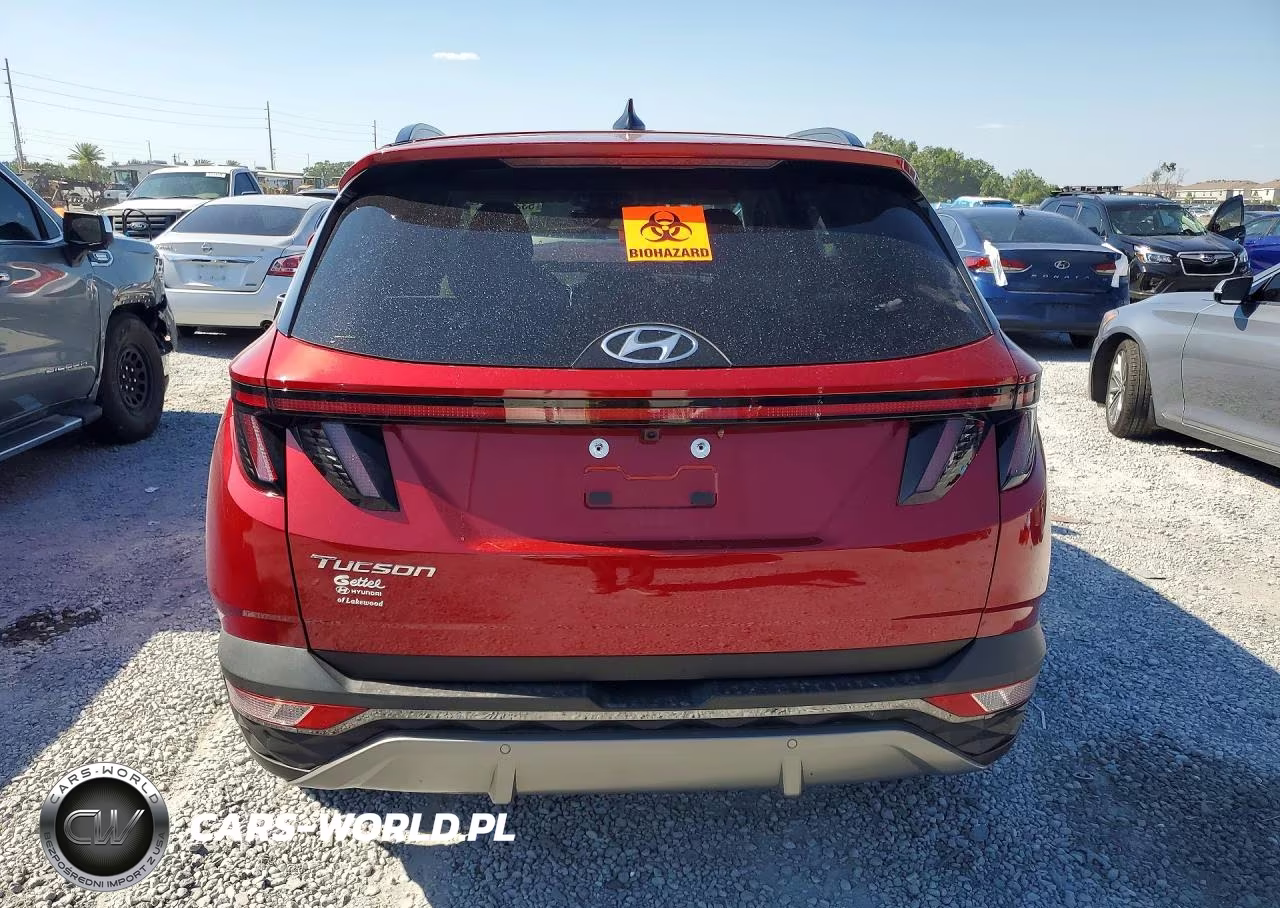 2024 Hyundai Tucson Limited VIN:5NMJE3DE3RH414075 - 6