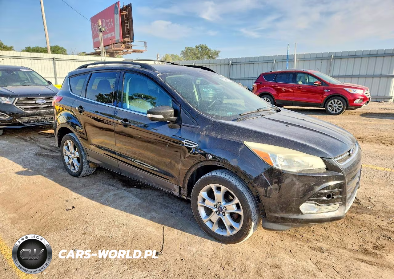 2013 Ford Escape Sel VIN:1FMCU0HX7DUD52568 - 4