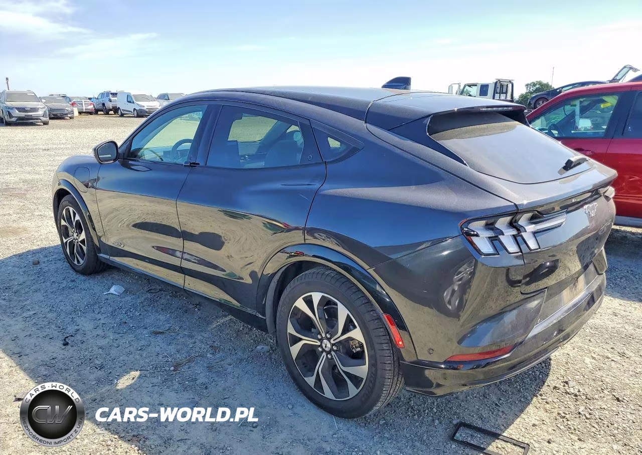 2021 Ford Mustang Mach-E Premium VIN:3FMTK3RMXMMA46139 - 2