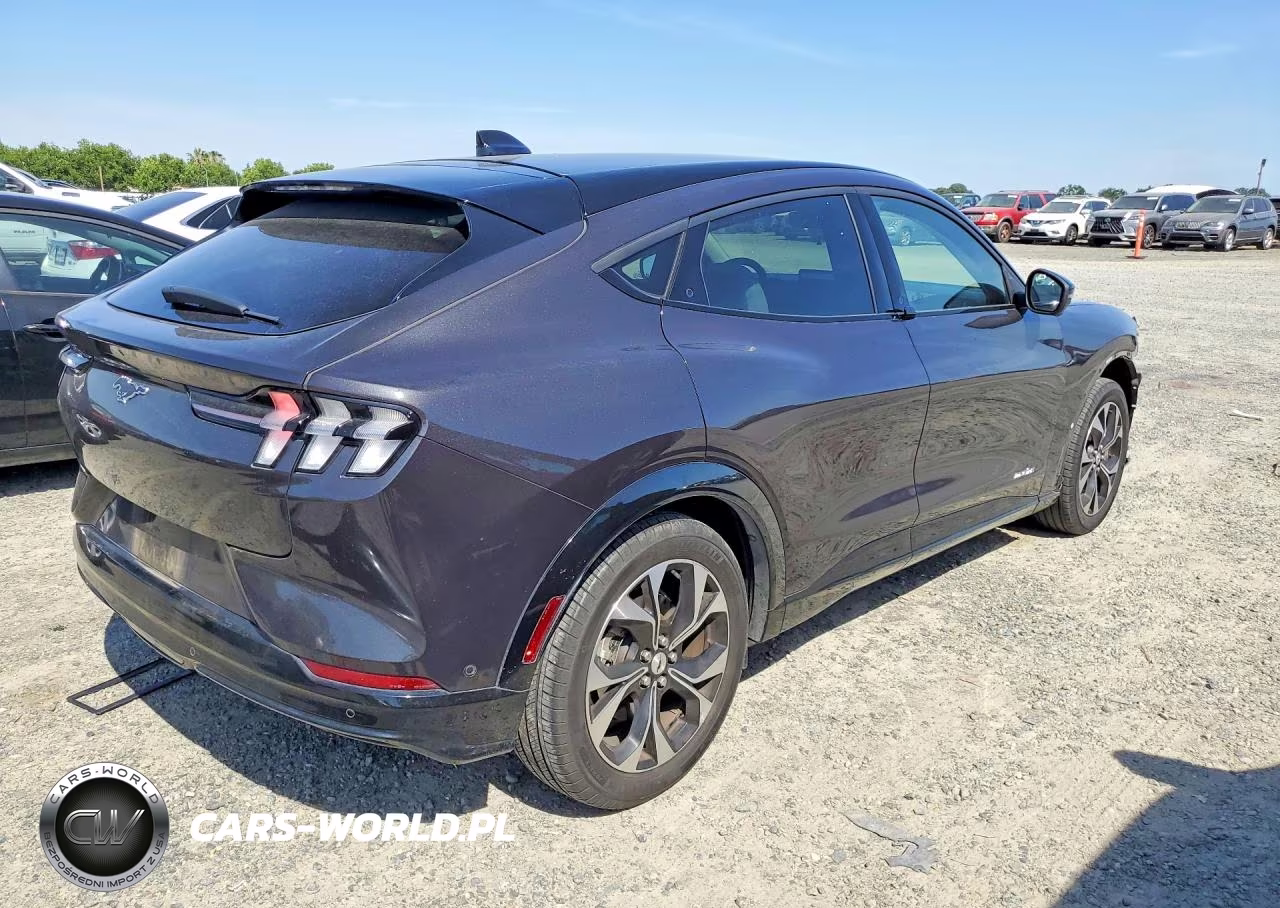 2021 Ford Mustang Mach-E Premium VIN:3FMTK3RMXMMA46139 - 3