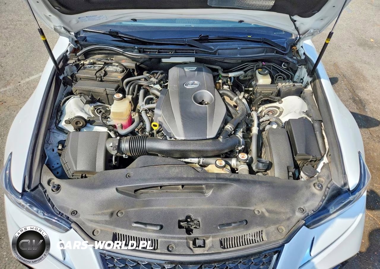 2019 Lexus Is 300 VIN:JTHBA1D21K5092473 - 11