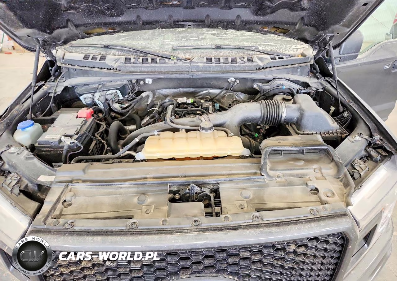 2020 Ford F150 Supercrew VIN:1FTEW1EP8LKD96624 - 11