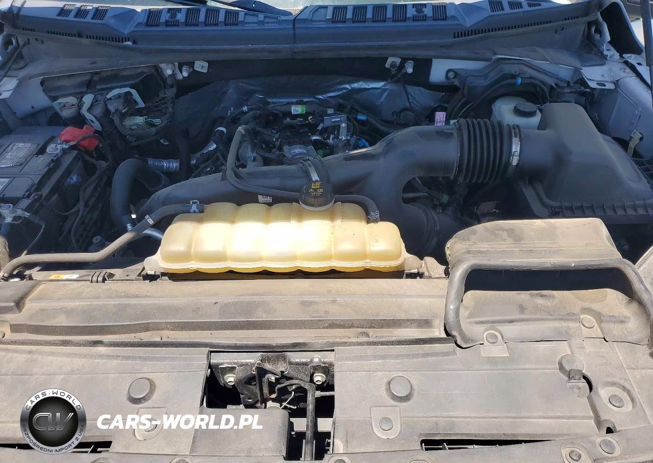 2019 Ford F150 Supercrew VIN:1FTEW1EP1KFB15299 - 11
