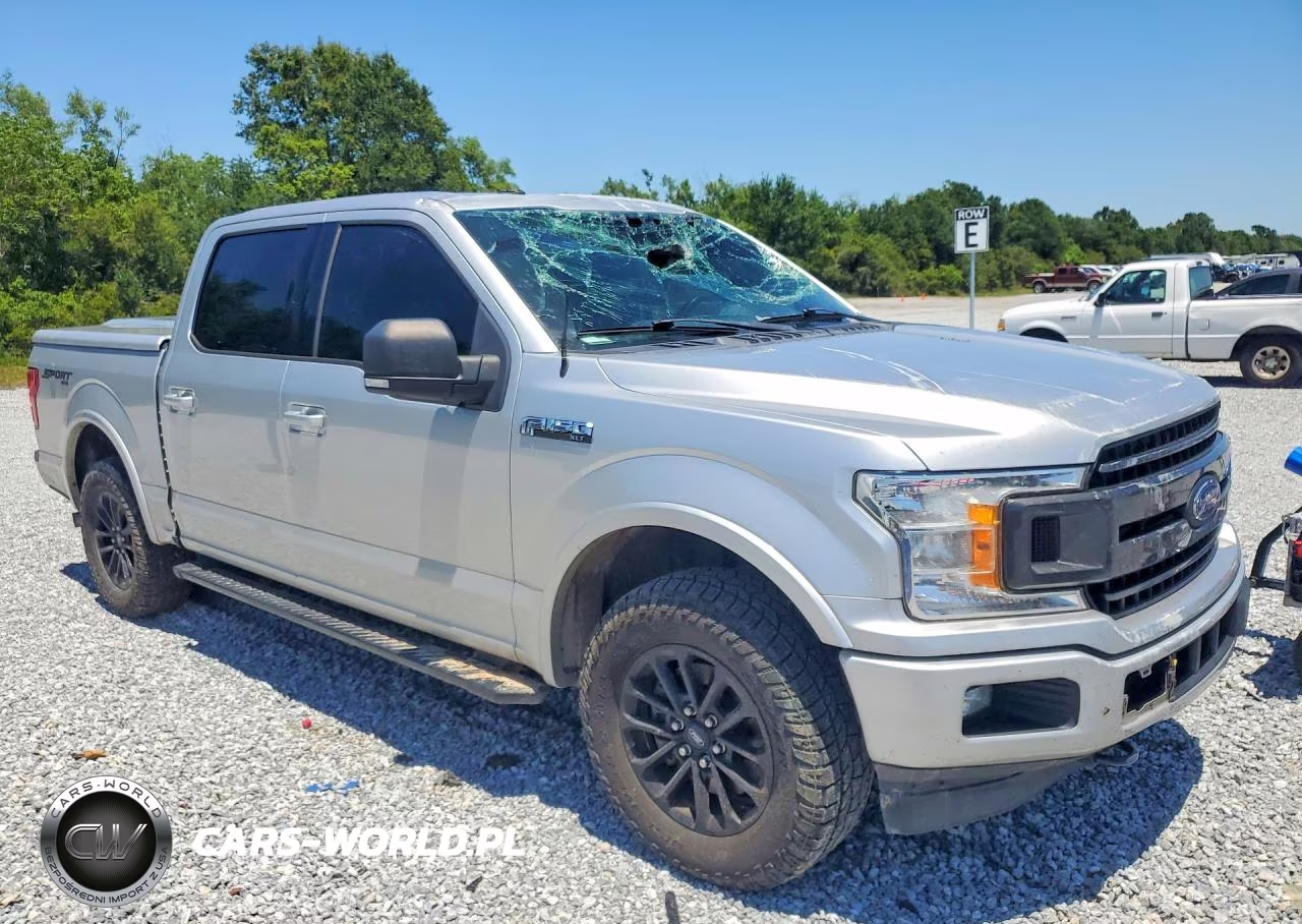 2019 Ford F150 Supercrew VIN:1FTEW1EP1KFB15299 - 4