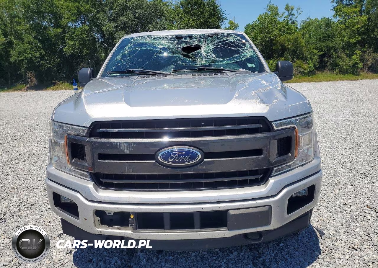 2019 Ford F150 Supercrew VIN:1FTEW1EP1KFB15299 - 5
